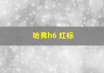 哈弗h6 红标